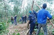 Quảng Bình: Hoàn thành việc dựng lại diện tích cao su bị bão làm đổ ngã 